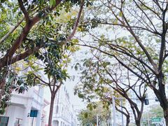 -三亚市第二中学