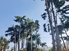 -南诏风情岛