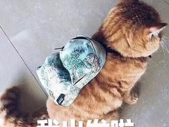 -秦汉胡同古筝围棋国学书院(罗湖分馆)