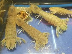 皮皮虾-海鲜城大家餐厅