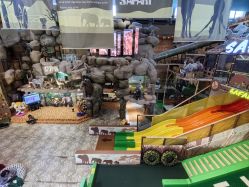 -卡通尼·Safari非洲探索乐园·生日会(金桥国际商业广场店)