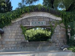 -团结湖公园