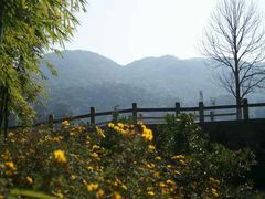 -广州市石门国家森林公园