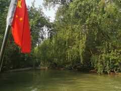-大湾区中央湿地公园