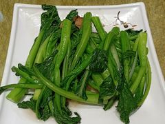 -有心德(麦地店)