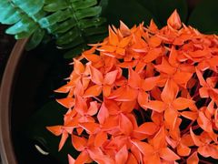 -海南清水湾莱佛士酒店