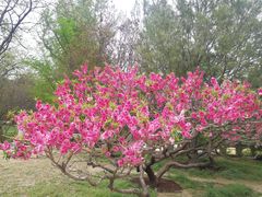 -国家植物园南园