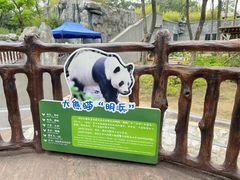 -柳州市动物园