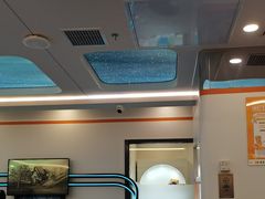 -极橙儿童齿科矫正中心(奥城店)