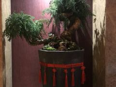 -隆聚时令海鲜(一舟店)