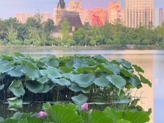 -成都南湖公园