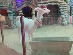 -太奥幻太奇海洋馆