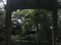 -龙井村