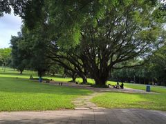 -东莞植物园