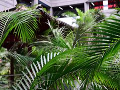 -黑龙江中医药大学附属第一医院