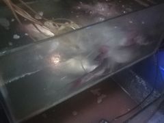 -窄巷子陕菜馆·地道陕西菜(粉巷店)