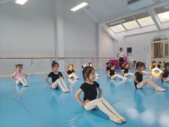 -西安小天鹅艺术团(曲江Alice店)