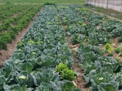 android_upload_pic-上海多利农业发展有限公司