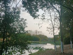 -艾溪湖湿地公园
