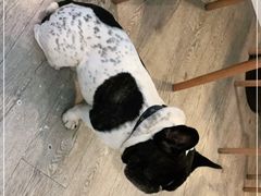 -小时光咖啡馆(北锣鼓巷店)