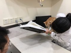 -心语宠物医院·急重症转诊中心·瑞辰华诺(南青路店)