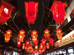 -绿波廊(豫园店)
