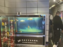 -凯诺星空国际影城(维多利国际广场店)