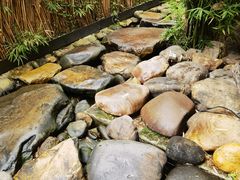 -天水蔬食料理(树德之光店)