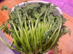 -同仁四季椰子鸡(宝安壹方城店)