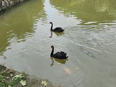 -南山风景名胜区