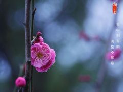 -尚贤河湿地