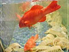 -新荣记(椒江店)