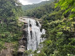 -海南热带雨林国家公园吊罗山景区
