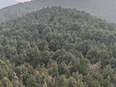 -云龙山