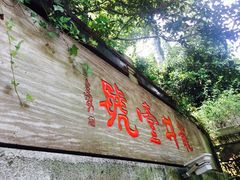 -龙井壹号·茶缘山景宴(龙井村店)