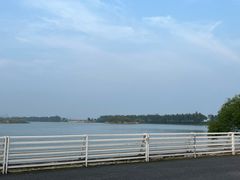 -贡湖湾湿地公园