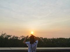 -宝安西湾红树林湿地公园