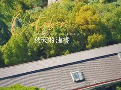 -阅江楼风景区
