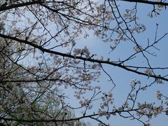 -白马涧龙池景区