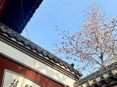 -长春观