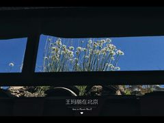大堂-三岔涧农家乐