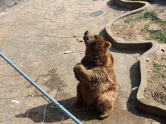 -无锡动物园·太湖欢乐园
