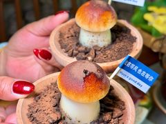 -大理董·董家小厨野生菌火锅(古城旗舰店)