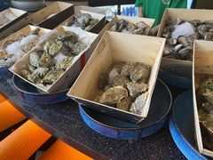 -斯普汇生蚝牛排馆(中骏世界城店)
