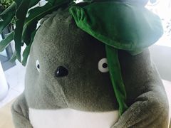 -Blueglass酸奶(华贸购物中心店)