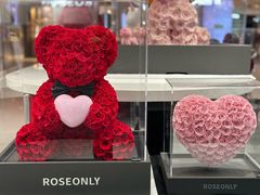 -ROSEONLY诺誓(广州K11店)