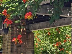 -湖北美术学院(昙华林校区)