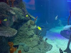 -沈阳海洋探索中心