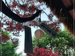-苏州本色美术馆
