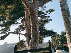 -妙峰山风景名胜区